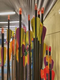 Close-up of multi colored pencils