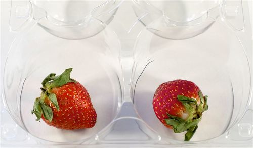 Close-up of fresh strawberries in water