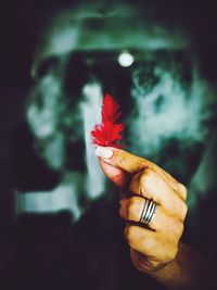 Close-up of hand holding red flower