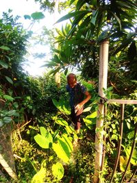 Low angle view of bird perching on tree