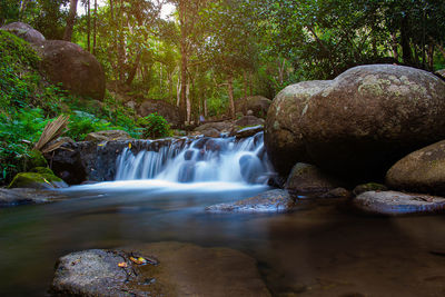 Scenic view of waterfall in forest