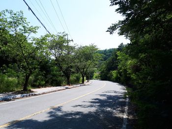 Empty road along plants and trees against sky