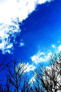 Low angle view of bare tree against blue sky