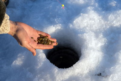 The fishermans hand holds fish bait over hole for catching fish, on the surface of a lake