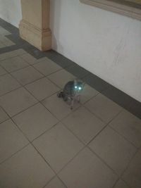 High angle view of illuminated electric lamp on tiled floor