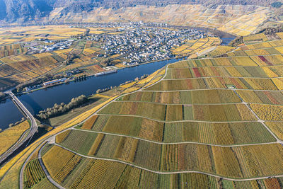 Germany, rhineland-palatinate, minheim, aerial view of autumn vineyards with river moselle and small town in background