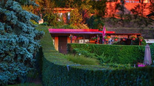 Gazebo by building against trees