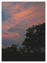 Low angle view of silhouette tree against sky during sunset