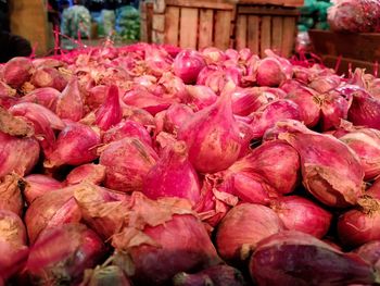 Close-up of pink for sale at market stall