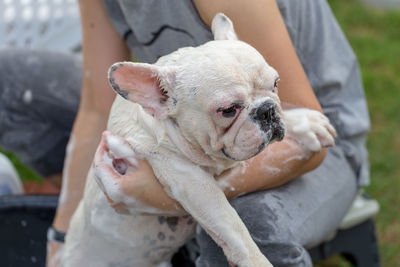 Woman bathing dog at yard