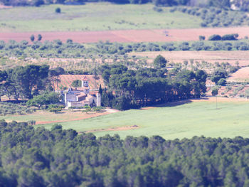 Scenic view of trees and houses on field