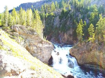 Scenic view of waterfall in forest