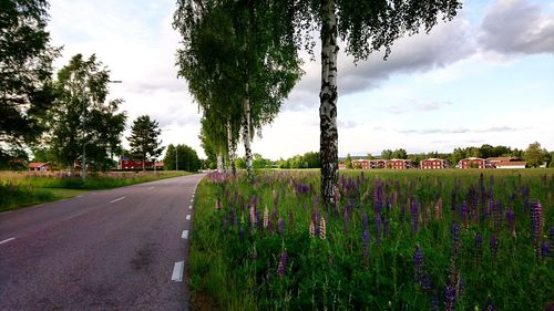 Road passing through field