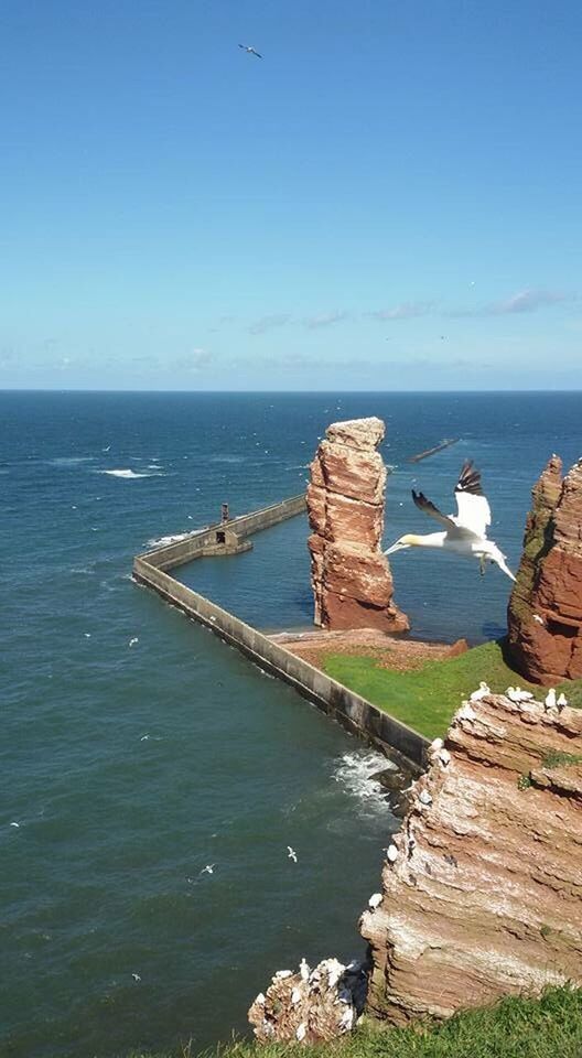 Helgoland