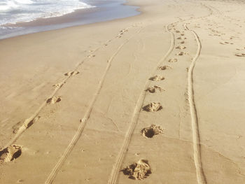 High angle view of tire tracks on beach