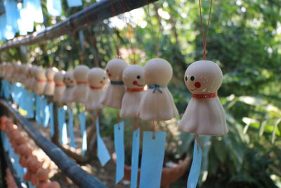 Close-up of stuffed toy hanging from tree