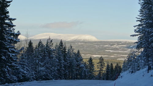 Scenic view of snow covered mountains