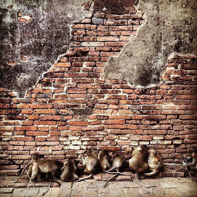 VIEW OF BRICK WALL