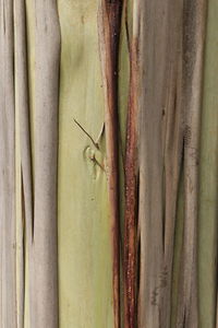 Full frame shot of tiled floor