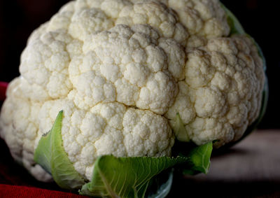 Close-up of burger against white background