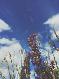 Low angle view of plants against blue sky