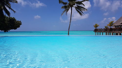 Panoramic view from infinity pool and see at resort in maldives 