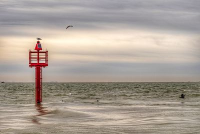 Seagull flying over sea against sky