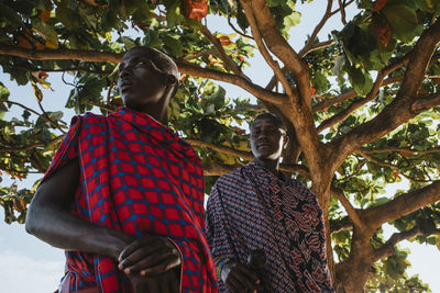 Two masai men in traditional clothes standing under big mkungu tree