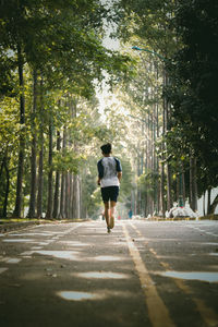 Rear view of man walking on footpath amidst trees