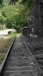 Narrow pathway along trees