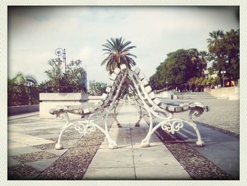 Trees along footpath