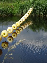 Reflection of water in lake