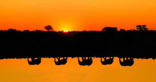 Silhouette trees against orange sky