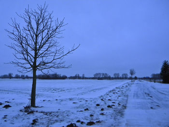 Snow covered landscape