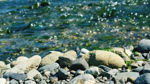 Rocks in shallow water