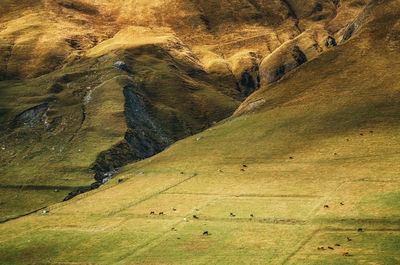 High angle view of mountain road