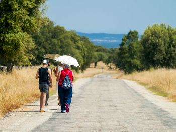 Rear view of people walking on road with umbrellas along trees during sunny day