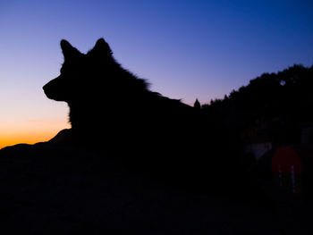 Silhouette cat against clear sky during sunset