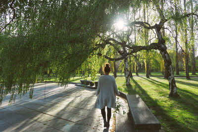 Rear view of woman walking by tree at park