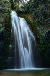 Scenic view of waterfall in forest