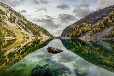 Reflection of tree in lake against sky