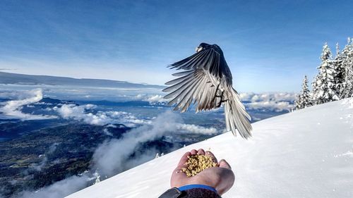 Low section of person on snowcapped mountain against sky