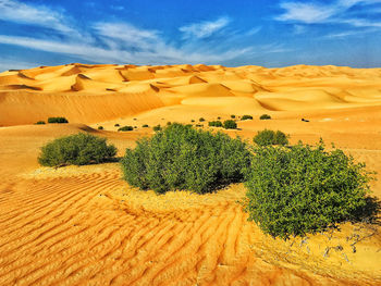 Scenic view of desert against sky