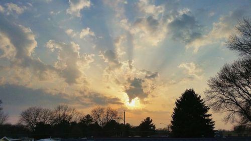 Low angle view of silhouette trees against sky