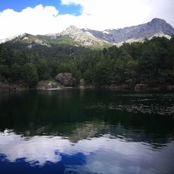 Scenic view of lake by trees against sky