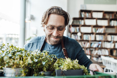 Smiling male entrepreneur looking at plant crate in cafe