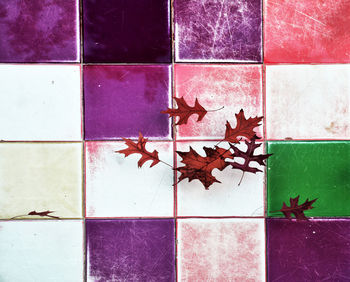 Directly above shot of autumn leaves on tiled floor