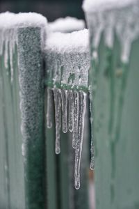 Close-up of icicles on fence 