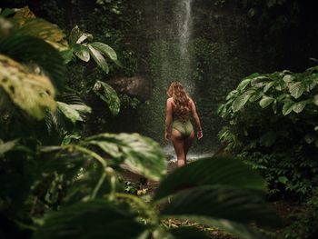 Rear view of seductive woman walking in forest