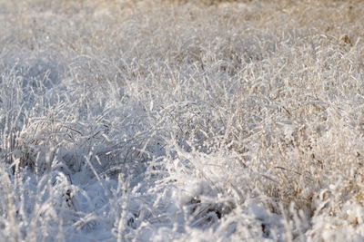 Full frame shot of snow on field